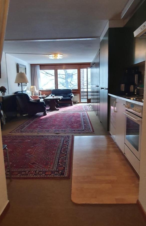 Hilburgs-Domizil Appartement Zermatt Buitenkant foto
